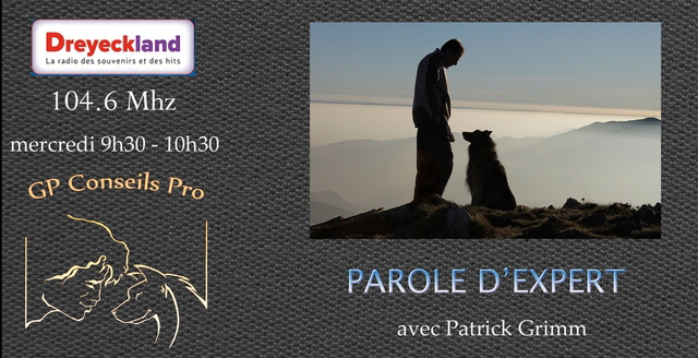 Affiche Dreyeckland parole expert2 640