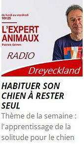 DKL site canin 1