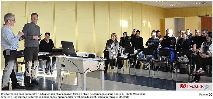 Formation pour les propritaires de chien nov 2012