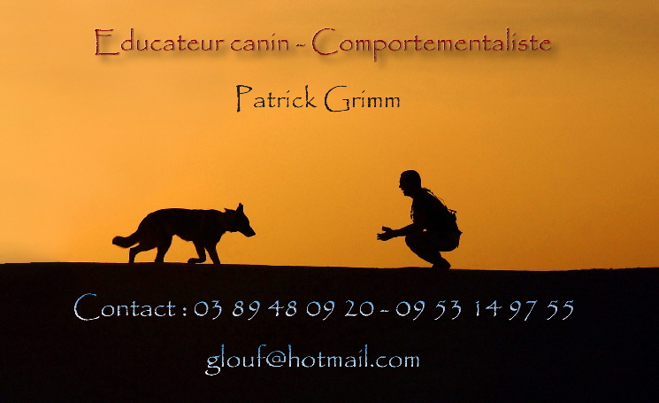 educateur canin et comportementaliste