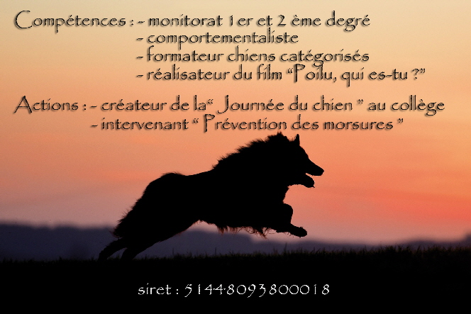 chien tervu course texte